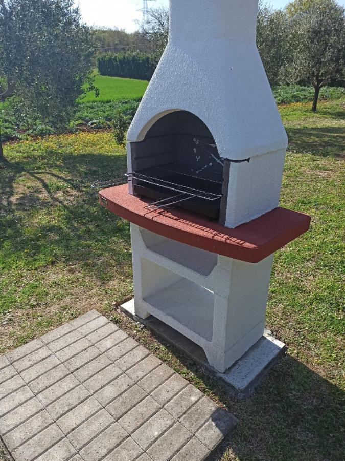 Agriturismo Il Giardino 萨杜勒尼亚 外观 照片