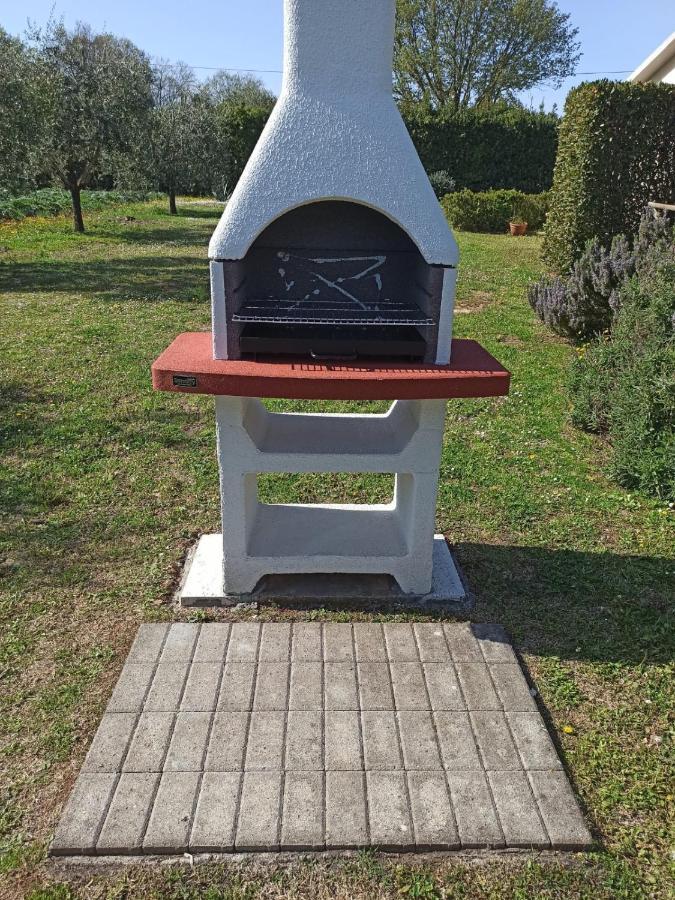 Agriturismo Il Giardino 萨杜勒尼亚 外观 照片