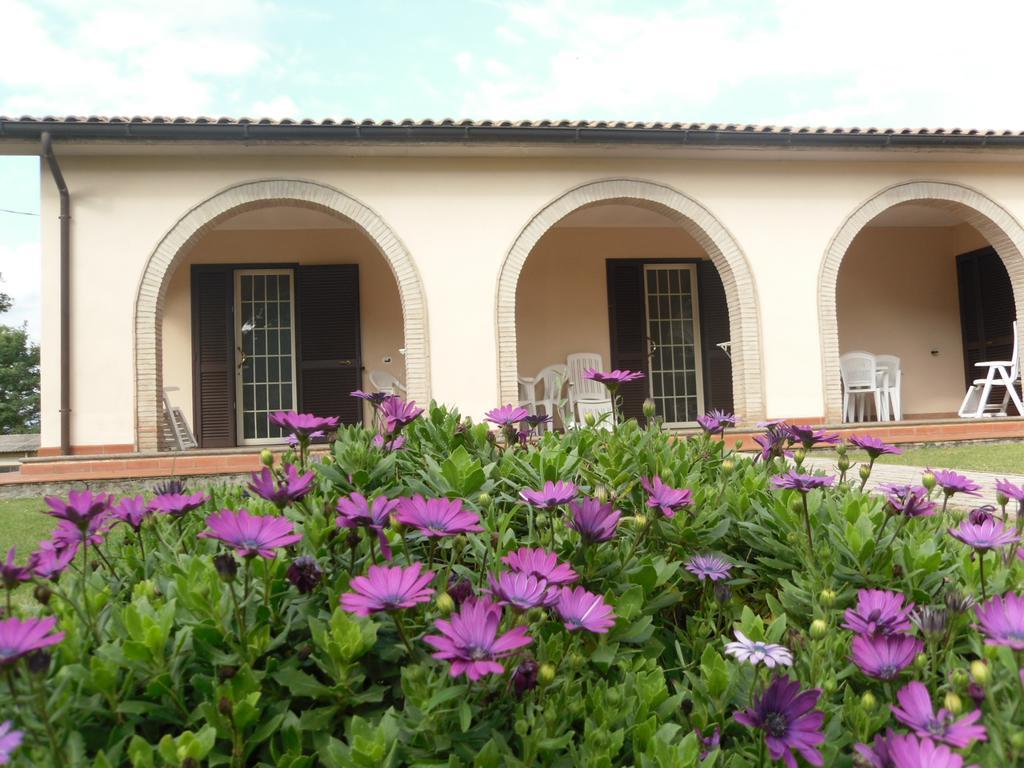 Agriturismo Il Giardino 萨杜勒尼亚 外观 照片